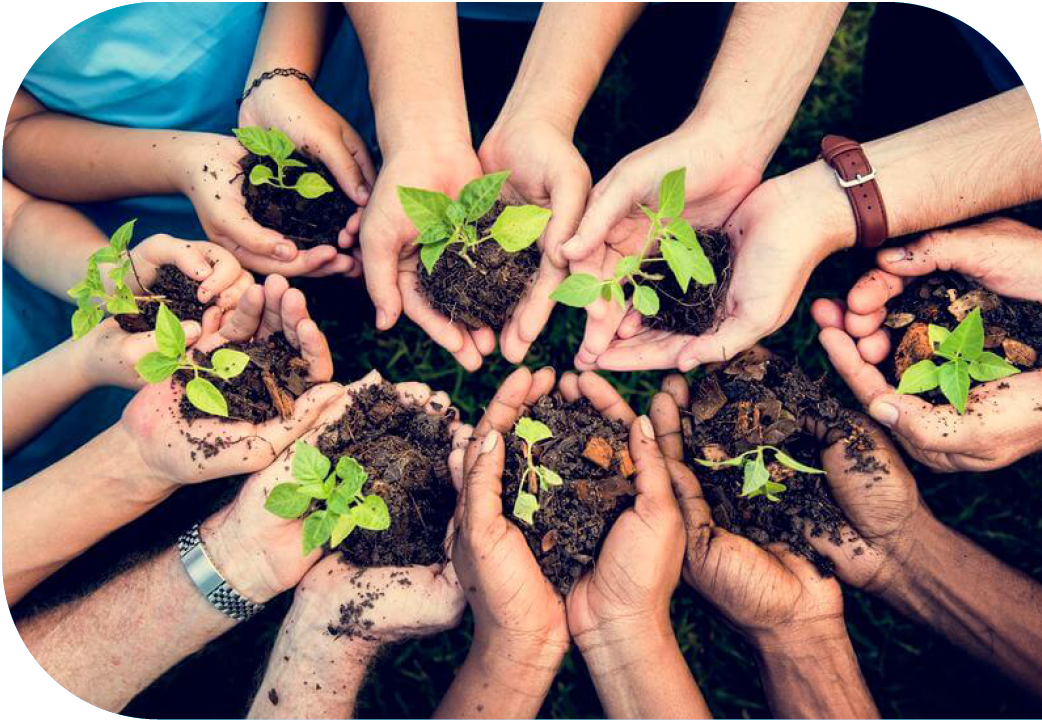 Close up of many hands holding small plants.