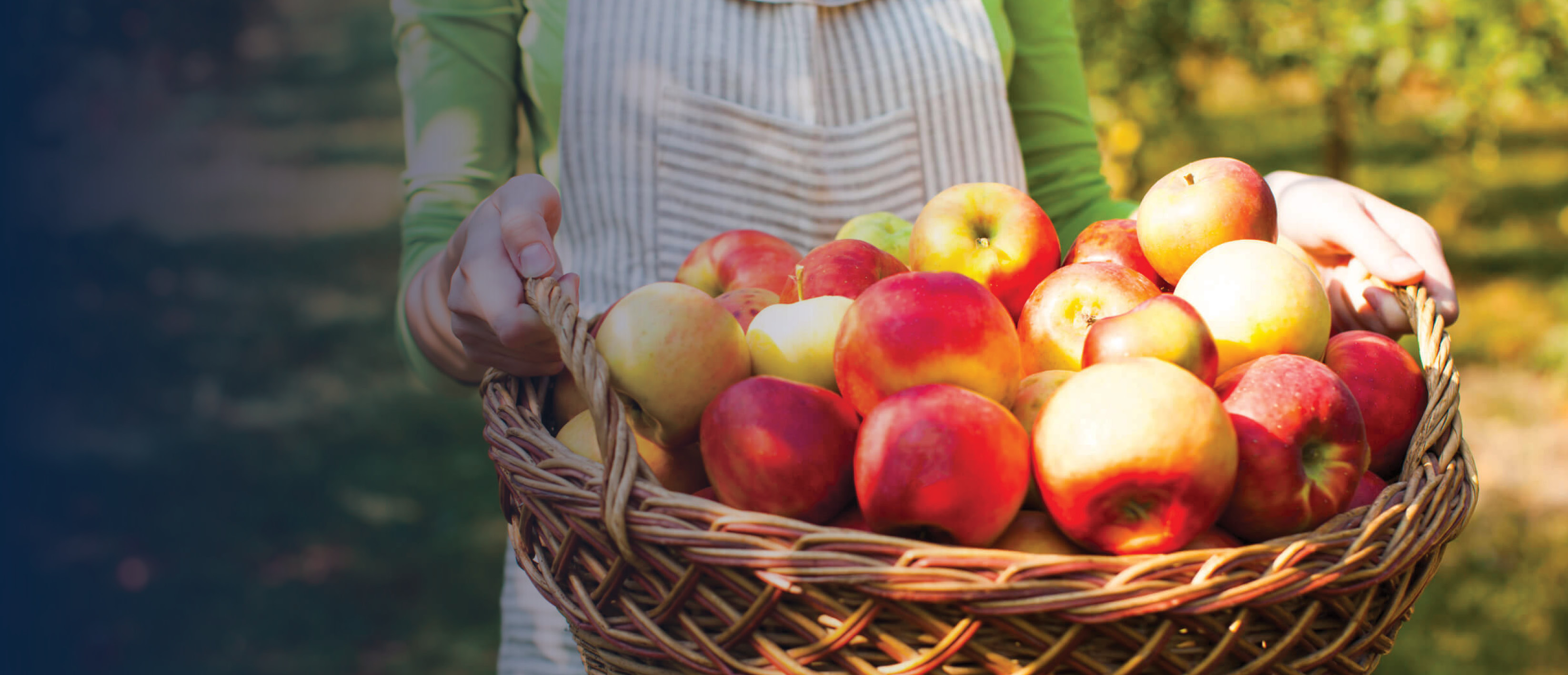 A woman holding a basket of apples.