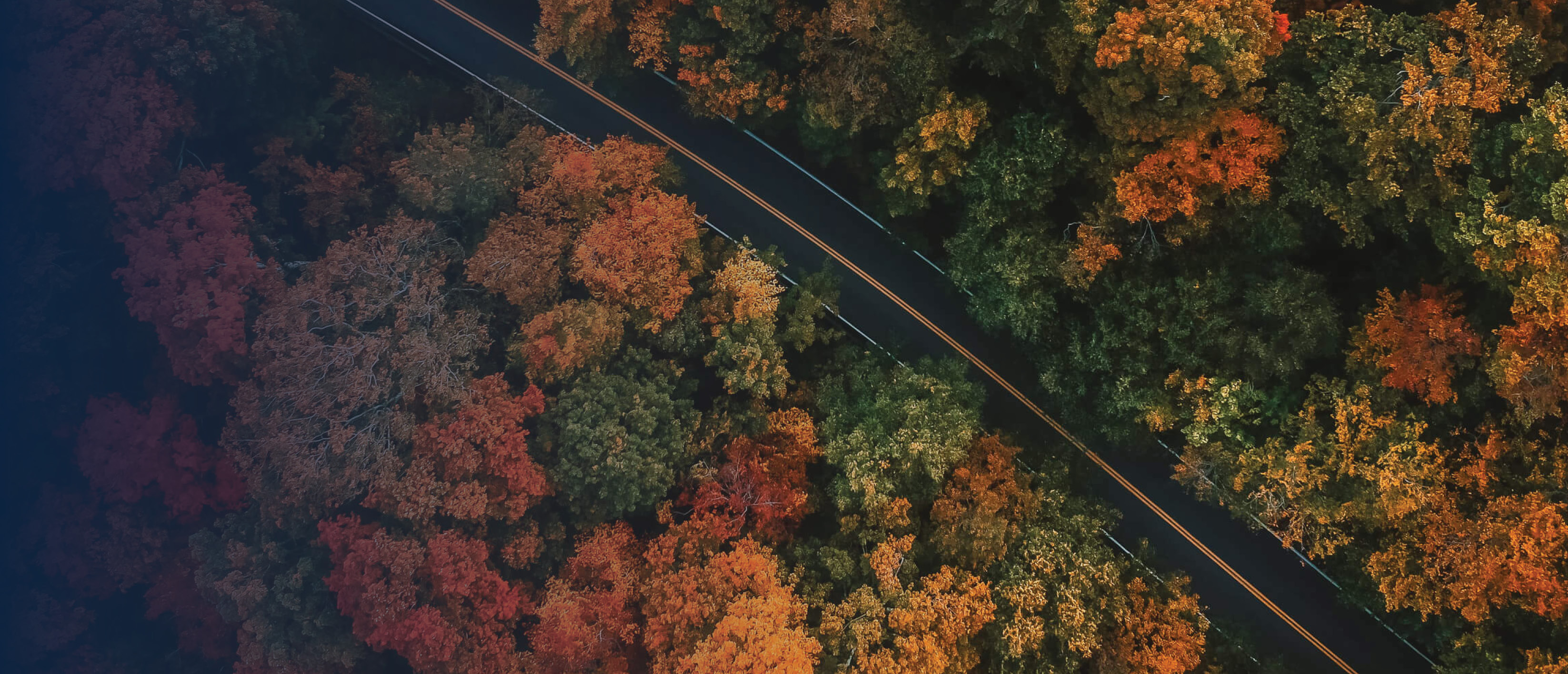 An aerial view of a winding road through a forest in autumn