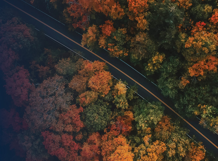 An aerial view of a winding road through a forest in autumn